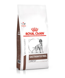 Royal Canin Gastrointestinal Adult Dog Food - 2 KG